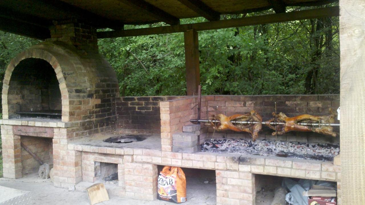 Pensiunea Larysse Băile Felix Exterior foto