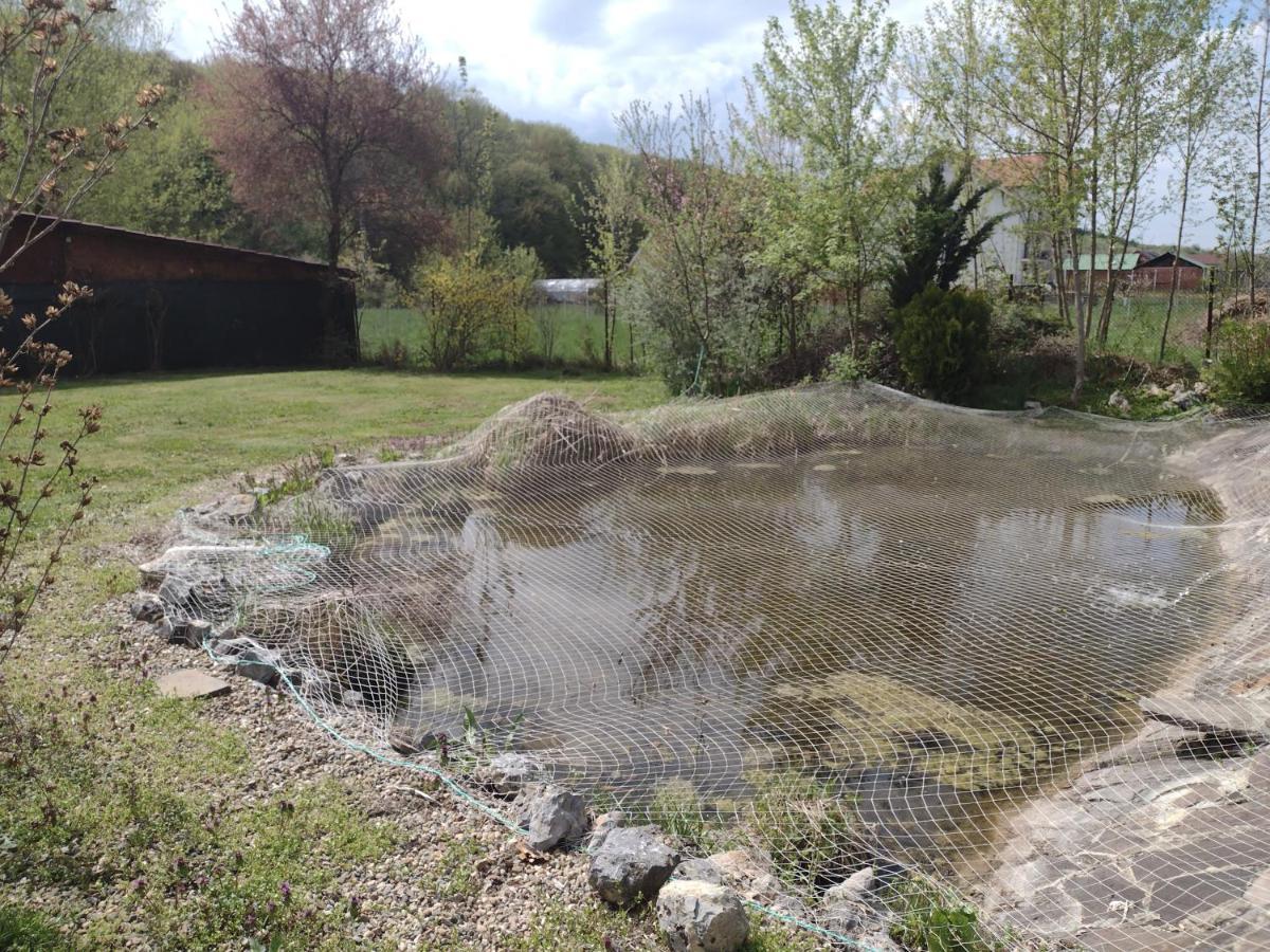 Pensiunea Larysse Băile Felix Exterior foto